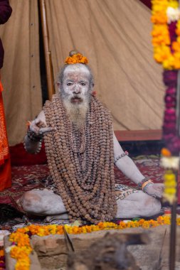 Prayagraj, Uttar Pradesh, Hindistan - 13 Ocak 2025: Mahakumbh, Kutsal erkek naga sadhu baba 'nın Sangam' daki kutsal nehir kenevirine ibadet etmek için Pagraj 'da maha kumbh mela' ya katılan portresi.