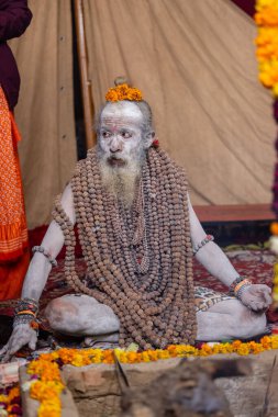 Prayagraj, Uttar Pradesh, Hindistan - 13 Ocak 2025: Mahakumbh, Kutsal erkek naga sadhu baba 'nın Sangam' daki kutsal nehir kenevirine ibadet etmek için Pagraj 'da maha kumbh mela' ya katılan portresi.
