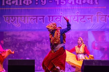 Puşkar, Rajasthan, Hindistan - 11 Kasım 2024: Bhangra, Bhangra grubu, açık hava kültür gecesi renkli etnik elbiseler içinde bhangra dansı yapıyor.
