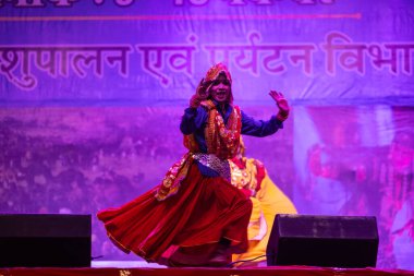 Puşkar, Rajasthan, Hindistan - 11 Kasım 2024: Bhangra, Bhangra grubu, açık hava kültür gecesi renkli etnik elbiseler içinde bhangra dansı yapıyor.