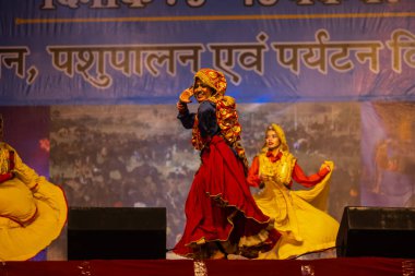 Puşkar, Rajasthan, Hindistan - 11 Kasım 2024: Bhangra, Bhangra grubu, açık hava kültür gecesi renkli etnik elbiseler içinde bhangra dansı yapıyor.