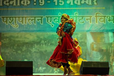 Puşkar, Rajasthan, Hindistan - 11 Kasım 2024: Bhangra, Bhangra grubu, açık hava kültür gecesi renkli etnik elbiseler içinde bhangra dansı yapıyor.