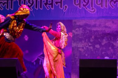 Puşkar, Rajasthan, Hindistan - 11 Kasım 2024: Bhangra, Bhangra grubu, açık hava kültür gecesi renkli etnik elbiseler içinde bhangra dansı yapıyor.