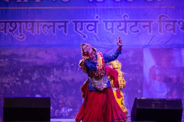 Puşkar, Rajasthan, Hindistan - 11 Kasım 2024: Bhangra, Bhangra grubu, açık hava kültür gecesi renkli etnik elbiseler içinde bhangra dansı yapıyor.