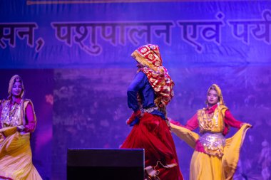 Puşkar, Rajasthan, Hindistan - 11 Kasım 2024: Bhangra, Bhangra grubu, açık hava kültür gecesi renkli etnik elbiseler içinde bhangra dansı yapıyor.