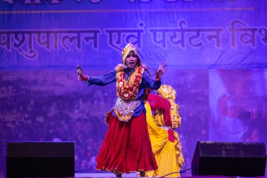 Puşkar, Rajasthan, Hindistan - 11 Kasım 2024: Bhangra, Bhangra grubu, açık hava kültür gecesi renkli etnik elbiseler içinde bhangra dansı yapıyor.
