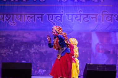 Puşkar, Rajasthan, Hindistan - 11 Kasım 2024: Bhangra, Bhangra grubu, açık hava kültür gecesi renkli etnik elbiseler içinde bhangra dansı yapıyor.