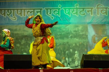 Puşkar, Rajasthan, Hindistan - 11 Kasım 2024: Bhangra, Bhangra grubu, açık hava kültür gecesi renkli etnik elbiseler içinde bhangra dansı yapıyor.