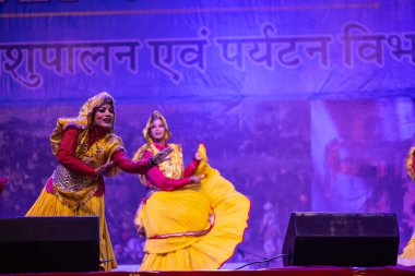 Puşkar, Rajasthan, Hindistan - 11 Kasım 2024: Bhangra, Bhangra grubu, açık hava kültür gecesi renkli etnik elbiseler içinde bhangra dansı yapıyor.