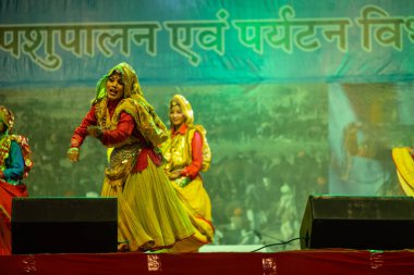 Puşkar, Rajasthan, Hindistan - 11 Kasım 2024: Bhangra, Bhangra grubu, açık hava kültür gecesi renkli etnik elbiseler içinde bhangra dansı yapıyor.