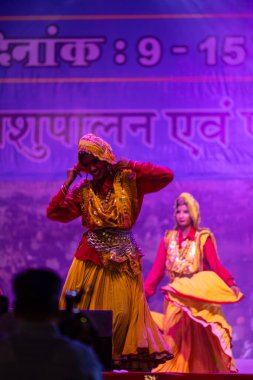 Pushkar, Rajasthan, Hindistan - 11 Kasım 2024: Bhangra, Sih erkek sanatçılar grubu renkli etnik elbiseler içinde bhangra dansı yapıyorlar..