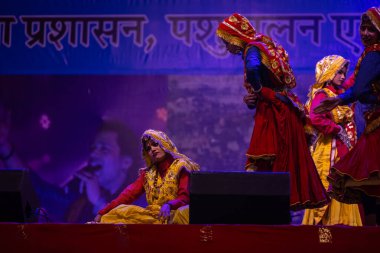 Pushkar, Rajasthan, Hindistan - 11 Kasım 2024: Bhangra, Sih erkek sanatçılar grubu renkli etnik elbiseler içinde bhangra dansı yapıyorlar..
