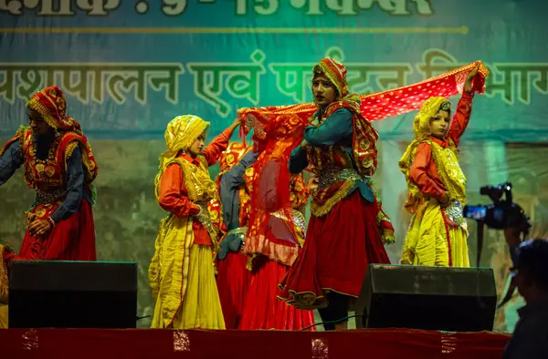 Puşkar, Rajasthan, Hindistan - 11 Kasım 2024: Bhangra, Bhangra grubu, açık hava kültür gecesi renkli etnik elbiseler içinde bhangra dansı yapıyor.