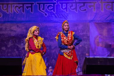 Pushkar, Rajasthan, Hindistan - 11 Kasım 2024: Bhangra, Sih erkek sanatçılar grubu renkli etnik elbiseler içinde bhangra dansı yapıyorlar..