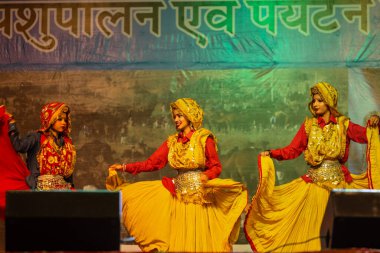 Pushkar, Rajasthan, Hindistan - 11 Kasım 2024: Bhangra, Sih erkek sanatçılar grubu renkli etnik elbiseler içinde bhangra dansı yapıyorlar..