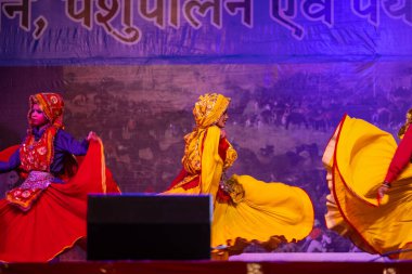 Pushkar, Rajasthan, Hindistan - 11 Kasım 2024: Bhangra, Sih erkek sanatçılar grubu renkli etnik elbiseler içinde bhangra dansı yapıyorlar..