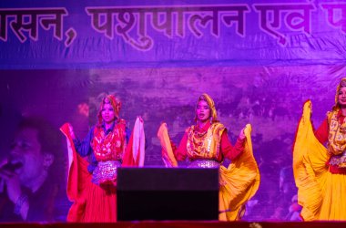 Puşkar, Rajasthan, Hindistan - 11 Kasım 2024: Bhangra, Bhangra grubu, açık hava kültür gecesi renkli etnik elbiseler içinde bhangra dansı yapıyor.