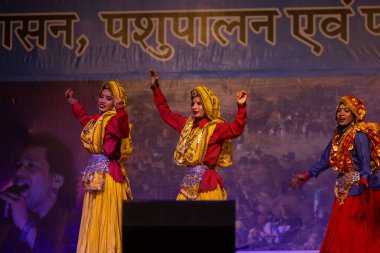 Pushkar, Rajasthan, Hindistan - 11 Kasım 2024: Bhangra, Sih erkek sanatçılar grubu renkli etnik elbiseler içinde bhangra dansı yapıyorlar..