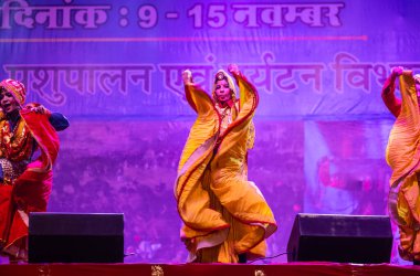 Pushkar, Rajasthan, Hindistan - 11 Kasım 2024: Bhangra, Sih erkek sanatçılar grubu renkli etnik elbiseler içinde bhangra dansı yapıyorlar..