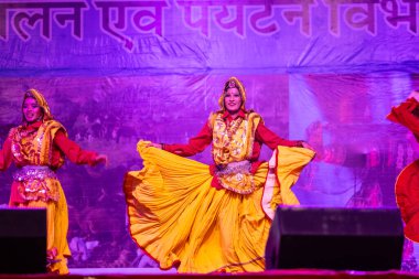 Pushkar, Rajasthan, Hindistan - 11 Kasım 2024: Bhangra, Sih erkek sanatçılar grubu renkli etnik elbiseler içinde bhangra dansı yapıyorlar..