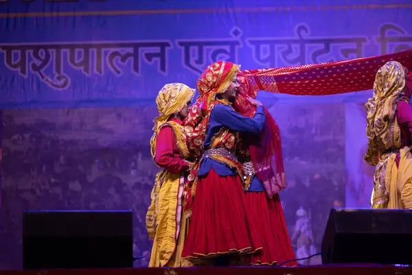 Pushkar, Rajasthan, Hindistan - 11 Kasım 2024: Bhangra, Sih erkek sanatçılar grubu renkli etnik elbiseler içinde bhangra dansı yapıyorlar..