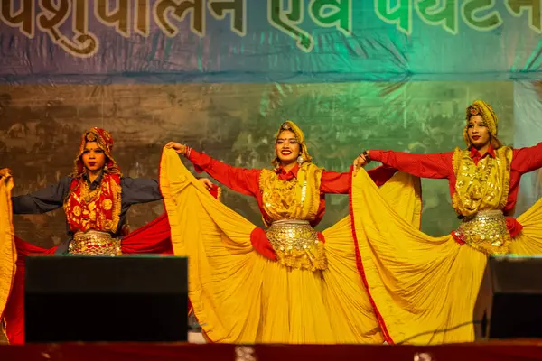 Pushkar, Rajasthan, Hindistan - 11 Kasım 2024: Bhangra, Sih erkek sanatçılar grubu renkli etnik elbiseler içinde bhangra dansı yapıyorlar..