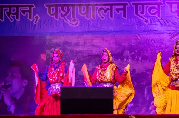 Puşkar, Rajasthan, Hindistan - 11 Kasım 2024: Bhangra, Bhangra grubu, açık hava kültür gecesi renkli etnik elbiseler içinde bhangra dansı yapıyor.