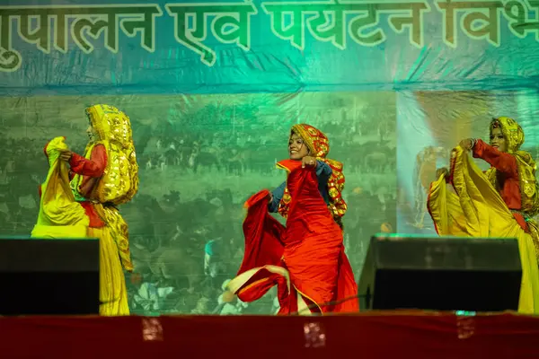 Pushkar, Rajasthan, Hindistan - 11 Kasım 2024: Bhangra, Sih erkek sanatçılar grubu renkli etnik elbiseler içinde bhangra dansı yapıyorlar..