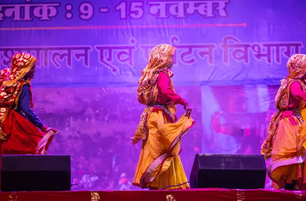 Pushkar, Rajasthan, Hindistan - 11 Kasım 2024: Bhangra, Sih erkek sanatçılar grubu renkli etnik elbiseler içinde bhangra dansı yapıyorlar..