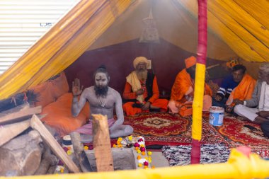 Prayagraj, Uttar Pradesh, Hindistan - 13 Ocak 2025: Mahakumbh, Kutsal erkek naga sadhu baba 'nın Sangam' daki kutsal nehir kenevirine ibadet etmek için Pagraj 'da maha kumbh mela' ya katılan portresi.
