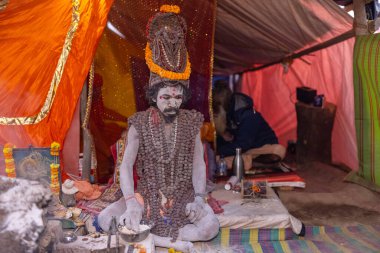 Prayagraj, Uttar Pradesh, Hindistan - 13 Ocak 2025: Mahakumbh, Kutsal erkek naga sadhu baba 'nın Sangam' daki kutsal nehir kenevirine ibadet etmek için Pagraj 'da maha kumbh mela' ya katılan portresi.