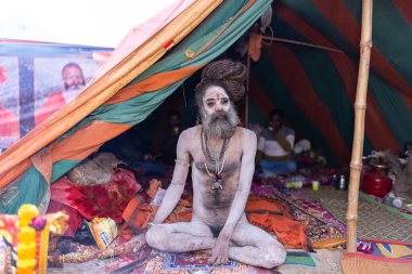 Prayagraj, Uttar Pradesh, Hindistan - 13 Ocak 2025: Mahakumbh, Kutsal erkek naga sadhu baba 'nın Sangam' daki kutsal nehir kenevirine ibadet etmek için Pagraj 'da maha kumbh mela' ya katılan portresi.