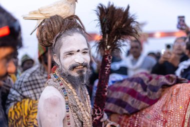 Prayagraj, Uttar Pradesh, Hindistan - 13 Ocak 2025: Mahakumbh, Kutsal erkek naga sadhu baba 'nın Sangam' daki kutsal nehir kenevirine ibadet etmek için Pagraj 'da maha kumbh mela' ya katılan portresi.