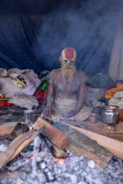 Prayagraj, Uttar Pradesh, Hindistan - 13 Ocak 2025: Mahakumbh, Kutsal erkek naga sadhu baba 'nın Sangam' daki kutsal nehir kenevirine ibadet etmek için Pagraj 'da maha kumbh mela' ya katılan portresi.
