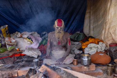 Prayagraj, Uttar Pradesh, Hindistan - 13 Ocak 2025: Mahakumbh, Kutsal erkek naga sadhu baba 'nın Sangam' daki kutsal nehir kenevirine ibadet etmek için Pagraj 'da maha kumbh mela' ya katılan portresi.