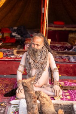 Prayagraj, Uttar Pradesh, Hindistan - 13 Ocak 2025: Mahakumbh, Kutsal erkek naga sadhu baba 'nın Sangam' daki kutsal nehir kenevirine ibadet etmek için Pagraj 'da maha kumbh mela' ya katılan portresi.