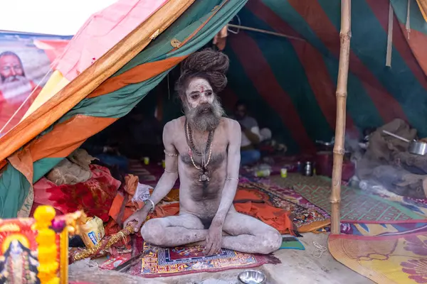 Prayagraj, Uttar Pradesh, Hindistan - 13 Ocak 2025: Mahakumbh, Kutsal erkek naga sadhu baba 'nın Sangam' daki kutsal nehir kenevirine ibadet etmek için Pagraj 'da maha kumbh mela' ya katılan portresi.