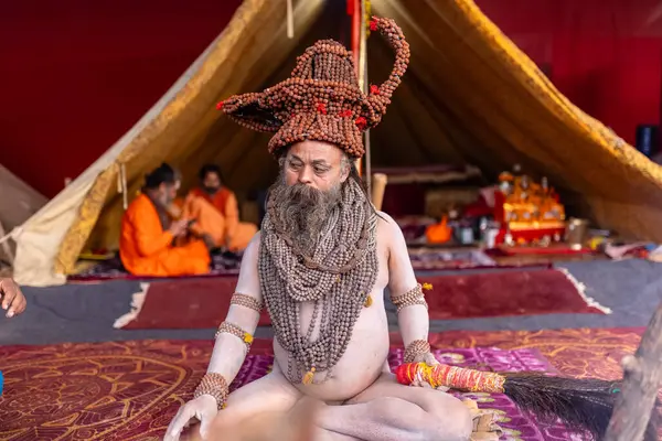 Prayagraj, Uttar Pradesh, Hindistan - 13 Ocak 2025: Mahakumbh, Kutsal erkek naga sadhu baba 'nın Sangam' daki kutsal nehir kenevirine ibadet etmek için Pagraj 'da maha kumbh mela' ya katılan portresi.