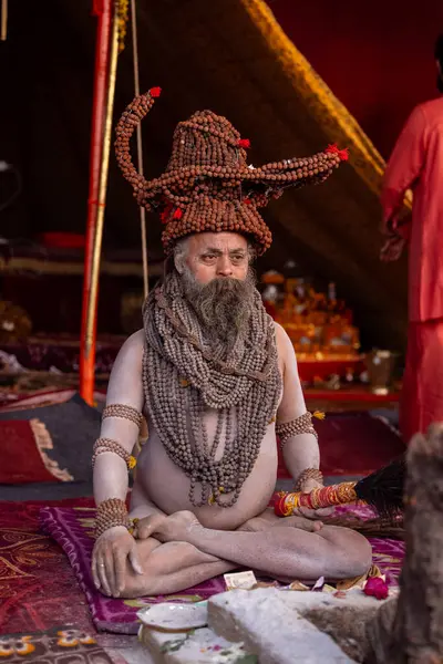 Prayagraj, Uttar Pradesh, Hindistan - 13 Ocak 2025: Mahakumbh, Kutsal erkek naga sadhu baba 'nın Sangam' daki kutsal nehir kenevirine ibadet etmek için Pagraj 'da maha kumbh mela' ya katılan portresi.