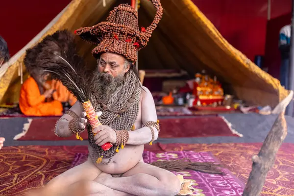 Prayagraj, Uttar Pradesh, Hindistan - 13 Ocak 2025: Mahakumbh, Kutsal erkek naga sadhu baba 'nın Sangam' daki kutsal nehir kenevirine ibadet etmek için Pagraj 'da maha kumbh mela' ya katılan portresi.