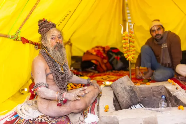 Prayagraj, Uttar Pradesh, Hindistan - 13 Ocak 2025: Mahakumbh, Kutsal erkek naga sadhu baba 'nın Sangam' daki kutsal nehir kenevirine ibadet etmek için Pagraj 'da maha kumbh mela' ya katılan portresi.