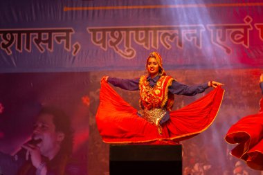 Pushkar, Rajasthan, Hindistan - 11 Kasım 2024: Bhangra, Sih erkek sanatçılar grubu renkli etnik elbiseler içinde bhangra dansı yapıyorlar..