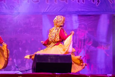 Pushkar, Rajasthan, Hindistan - 11 Kasım 2024: Bhangra, Sih erkek sanatçılar grubu renkli etnik elbiseler içinde bhangra dansı yapıyorlar..