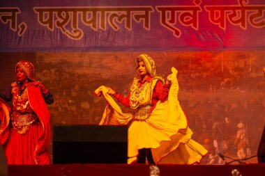 Pushkar, Rajasthan, Hindistan - 11 Kasım 2024: Bhangra, Sih erkek sanatçılar grubu renkli etnik elbiseler içinde bhangra dansı yapıyorlar..