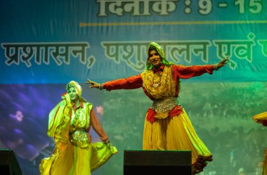 Pushkar, Rajasthan, Hindistan - 11 Kasım 2024: Bhangra, Sih erkek sanatçılar grubu renkli etnik elbiseler içinde bhangra dansı yapıyorlar..