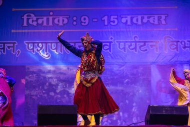 Pushkar, Rajasthan, Hindistan - 11 Kasım 2024: Bhangra, Sih erkek sanatçılar grubu renkli etnik elbiseler içinde bhangra dansı yapıyorlar..