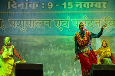 Pushkar, Rajasthan, Hindistan - 11 Kasım 2024: Bhangra, Sih erkek sanatçılar grubu renkli etnik elbiseler içinde bhangra dansı yapıyorlar..