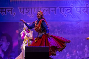 Pushkar, Rajasthan, Hindistan - 11 Kasım 2024: Bhangra, Sih erkek sanatçılar grubu renkli etnik elbiseler içinde bhangra dansı yapıyorlar..