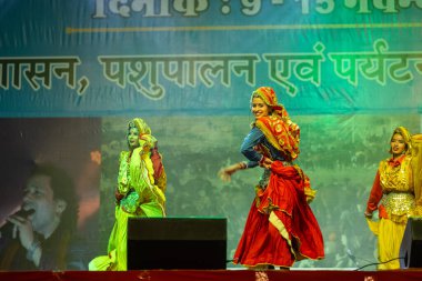 Pushkar, Rajasthan, Hindistan - 11 Kasım 2024: Bhangra, Sih erkek sanatçılar grubu renkli etnik elbiseler içinde bhangra dansı yapıyorlar..