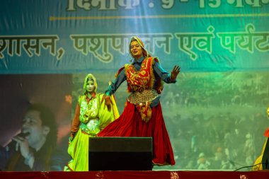 Pushkar, Rajasthan, Hindistan - 11 Kasım 2024: Bhangra, Sih erkek sanatçılar grubu renkli etnik elbiseler içinde bhangra dansı yapıyorlar..